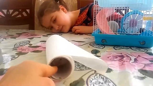 Мой питомец Хомка-Снежка❤ смотреть онлайн