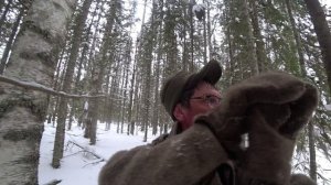 Брожу по тайге. Избушка на другом берегу реки. давно там не был. 14.03.25