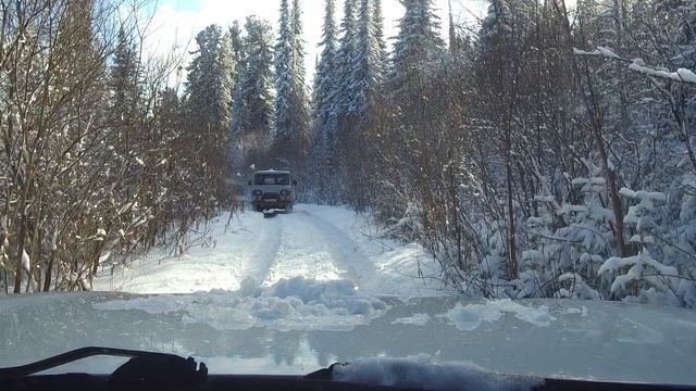 Ноябрьские выходные в горной тайге из нескольких серий.
