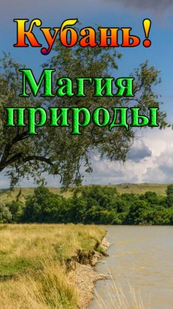 Утро на Кубани: Магия речной природы.