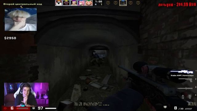 прыгает от пуль haalllii twitch смотреть онлайн