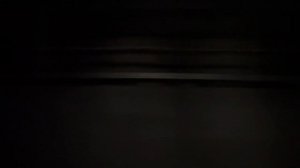 Адлер - Аэропорт Сочи (из окна электропоезда "Ласточка-Премиум")