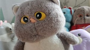 играем в мягкую игрушку котика для малышей