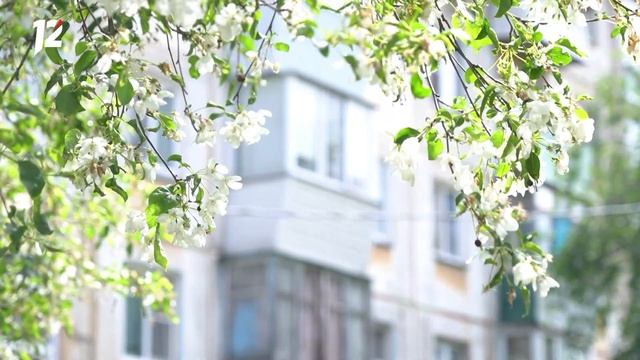 Палящее солнце / Топит четыре этажа / Фестиваль граффити. Новости Омска смотреть онлайн