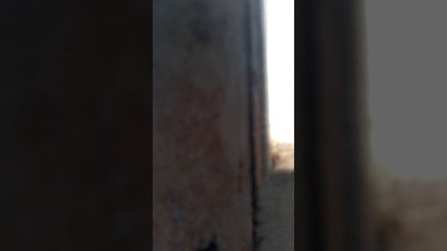 под конец я случайно сказал бештау а не Эльбрус смотреть онлайн