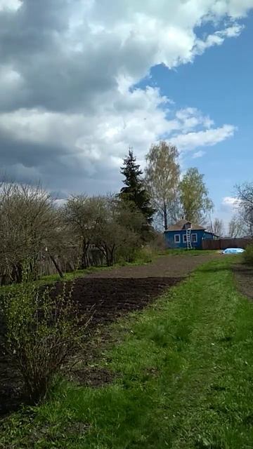 Самая правильная посадка картофеля🥔🥔🥔 смотреть онлайн