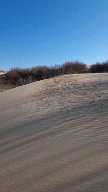 Витязево смотреть онлайн