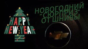 Новогодний "СЮРПРИЗ" от Шнивы - перезалив с дзена