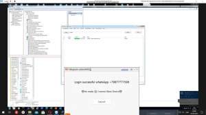 Xiaomi 11T bricked | EDL authorized account | Unbrick Xiaomi Mi 11T
