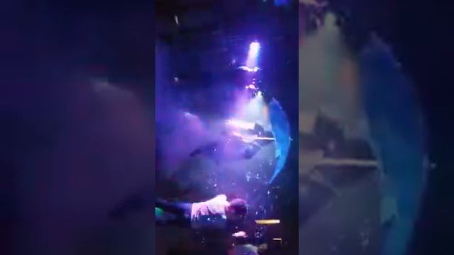 Арыслан Арай той 2017 смотреть онлайн