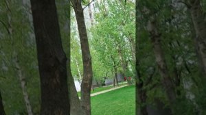весенний дождик 1