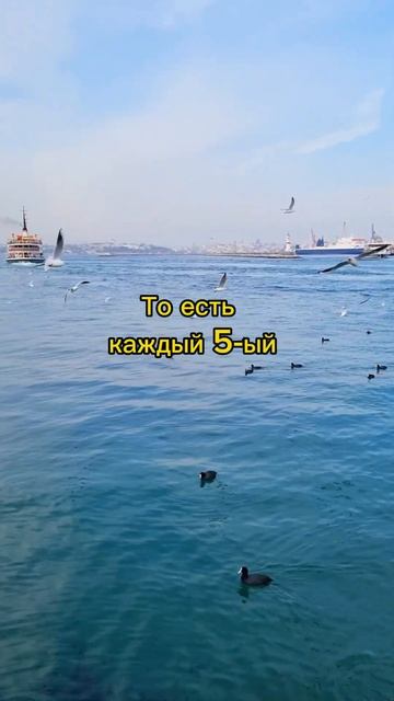 Интересные факты про Стамбул смотреть онлайн