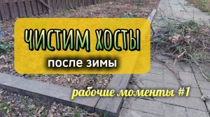 Весенние работы в саду у Вовы или помощь хостам после зимы!