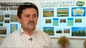 Прикумская селекционная станция