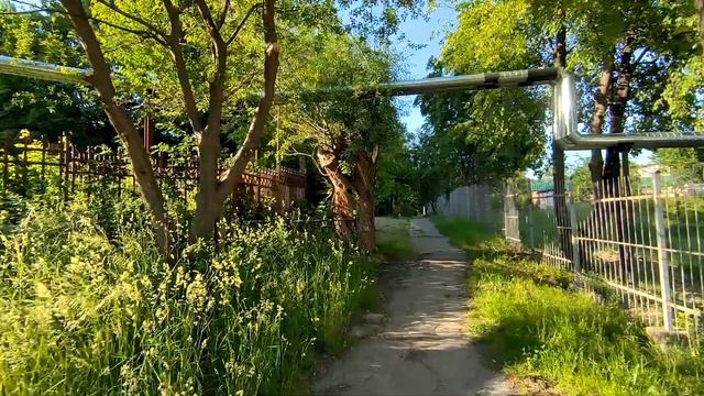 Трускавець 2024: занедбана територія санаторія Батьківщина і санаторій Молдова смотреть онлайн