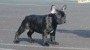 Яркий огонёк