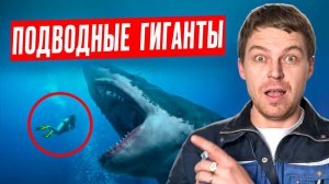 10 САМЫХ КРУПНЫХ рыб в мире, одну из которых можно быстро вырастить в гараже _ Обзор за 10 минут
