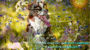 Доброе июльское утро. Музыкальная открытка.