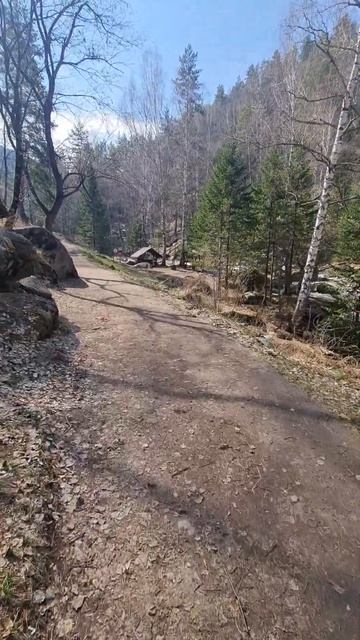 Скала "Черепаха" Терренкур в Белокурихе #белокуриха смотреть онлайн