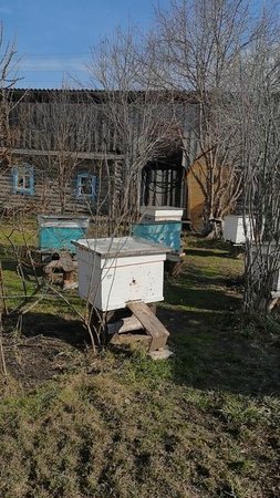 Жара в Сибири сегодня +25 Новосибирская область