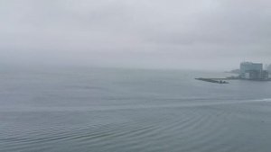 Море во Владивостоке, 27 июля 2024 года