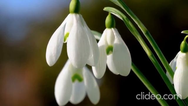 школа Кайлас. Получай от всего удовольствие. смотреть онлайн