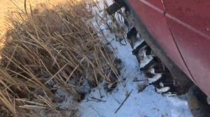 Бел 166, по тонкому льду=)))