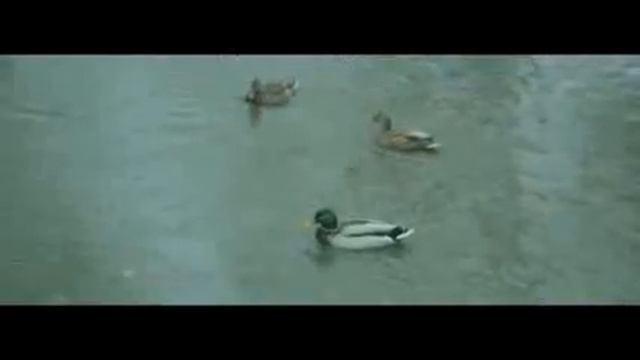 Нелли Ермолаева ПыльOfficial Video) смотреть онлайн