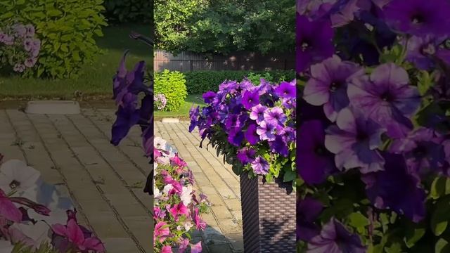 11 июля 2024 г. смотреть онлайн