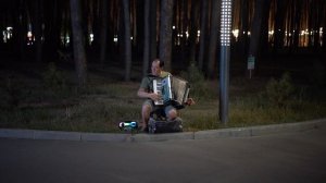 Я поднимаю свой бокал баянист парк дельфин Воронеж