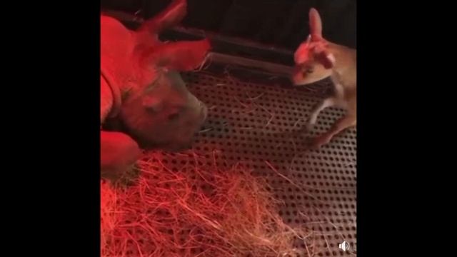 7 САМЫХ КРУТЫХ ВИДЕО ! - 7 MOST HARD VIDEOS ! смотреть онлайн