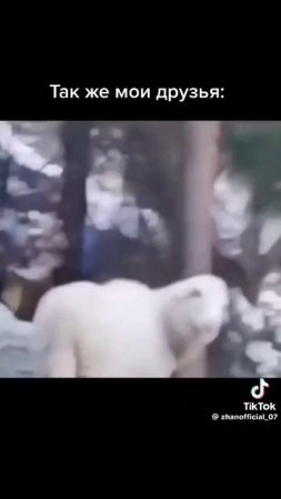 мои спокойные друзья