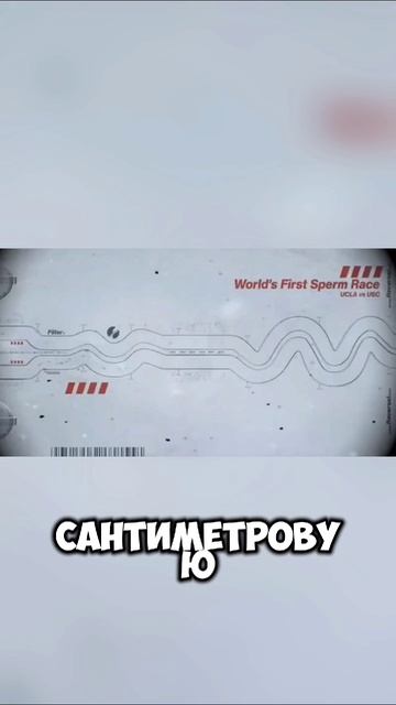 Гонка сперматозоидов #новости #юмор #технологии #сша #гонки #shortvideo #shorts