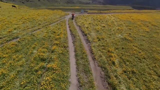 Сирх, мото, поляна Эммануэля смотреть онлайн