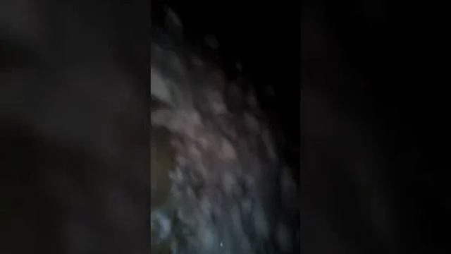 ТЕЛЕВИЗИОННАЯ ВЫШКА! смотреть онлайн