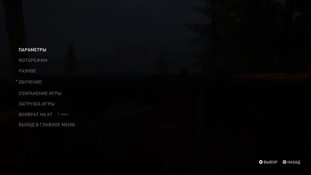 ОСТРОВ ШИЗОВ  The last of us part 2 29