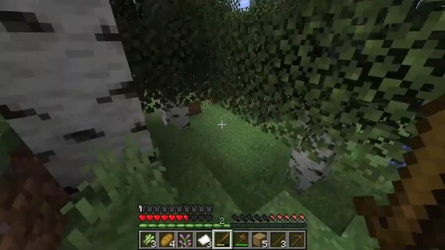 Выживание в minecraft №2 / Katerina Mi смотреть онлайн