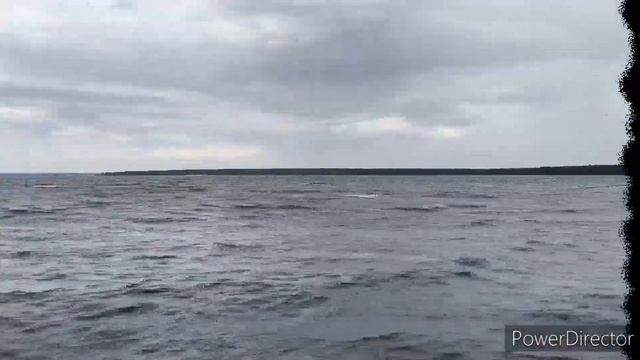 Липецкое водохранилище 11.08.24