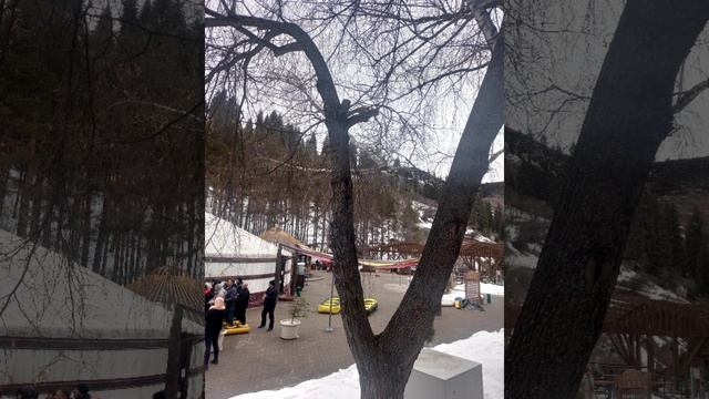 Продолжаю рассказ про путешествие в Казахстан, гора Алатау, горный курорт "Лесная сказка " смотреть онлайн