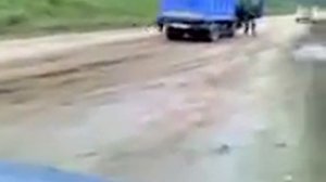 Нападение медведя на Сахалине