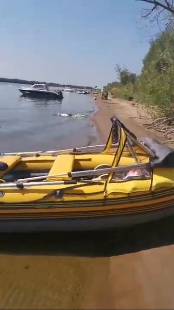 Разныр перед охотой. Васильевские острова. Лето 2021 смотреть онлайн