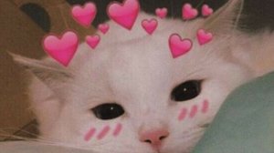 Народное интервью Баста