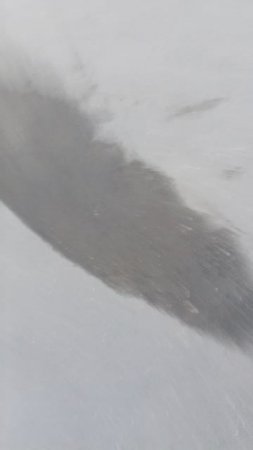 катание на самокате