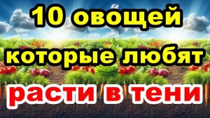 ЧТО ПОСАДИТЬ В ТЕНИ? 10 Лучших Овощей, Которые Любят Расти В Тени