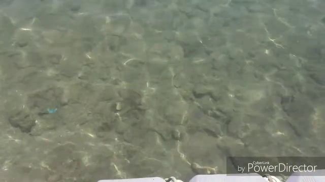 Єгипет 2019 Шарм ель Шейх IL MERCATO HotelSpa