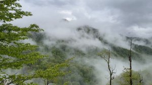 26-04-2025 Оля Адлер