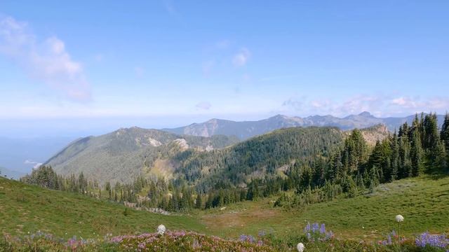 В любви не жди ответа на то она и высшая Любовь альбом Мира Единого.