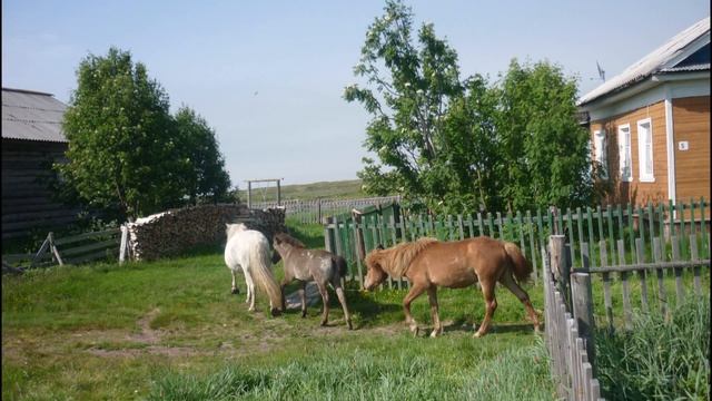 Олег Бундур отметил юбилей! смотреть онлайн