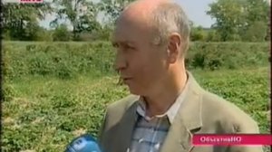 Лысковский плодопитомник сюжет телекомпании ННТВ