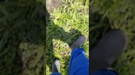1000019262.mp4